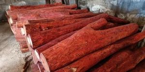 Red Sandal Wood Logs