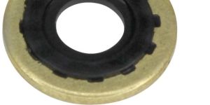 Brass Washer with Rubber Ring