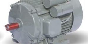 Squirrel Cage Induction Motors Single Phase