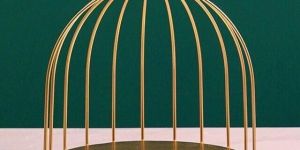 Bird Cage Desktop Perfume Organizer