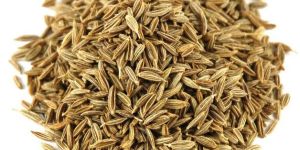 Cumin Seed