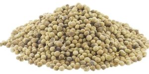 Coriander Seed