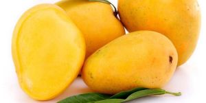 Fresh Mango