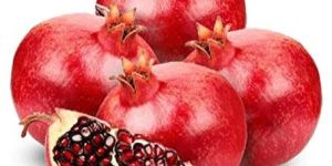 Fresh Pomegranate