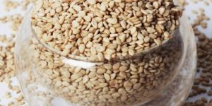 Sesame Seed