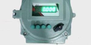 Electronic Flame Proof Indicator