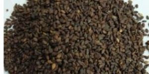 Red Brown Sesame Seeds