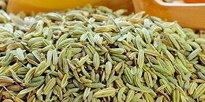 Fennel Seeds