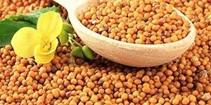 Mustard Seed