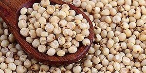 Sorghum