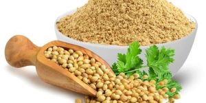 Dehydrated Coriander Powder