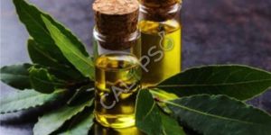 Bay Leaf Oil
