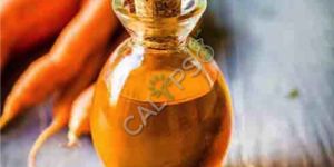 Carrot Seed CO2 Extract Oil