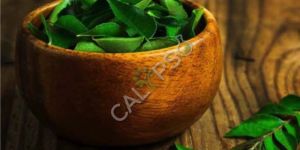 Curry Leaf Oil