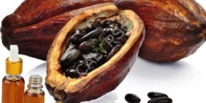 Fir Balsam Absolute Oil