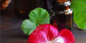 Geranium Oil