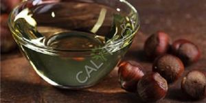 Hazel Nut Oil