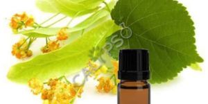 Linden Blossom Absolute Oil