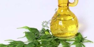 Neem Carrier Oil