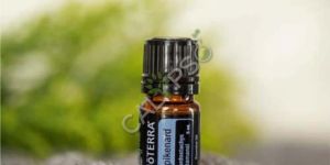 Spikenard Oil