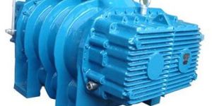 Gas Blowers