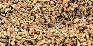 Aniseed Essential Oil