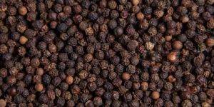 Black Pepper