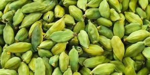 Cardamom Oleoresin