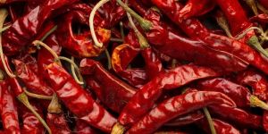 Dry Red Chilli