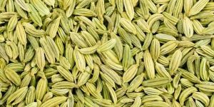 Fennel Oleoresin