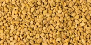 Fenugreek Seed
