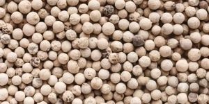 White Pepper Essential Oil