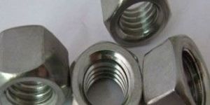 Stainless Steel Nuts