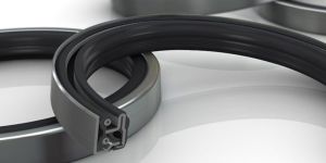 radial oil seals