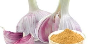 Deodorized Garlic Mucilage Extract