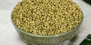 Coriander Seeds
