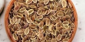 Dill Seeds