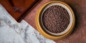 Mustard Seeds
