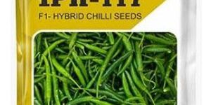 Best Hybrid Chilli Seeds IPH-117