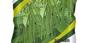 Best Research Green Seeds