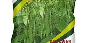 Best Research Green Seeds Dhanwan