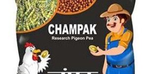 Best Research Tur Seeds Champak