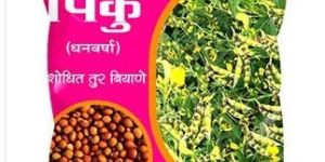 Pinku Research Tur Seeds