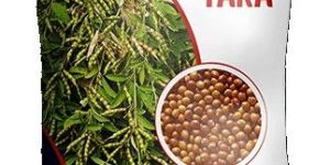 Premium Notified Tur Seeds Pkv - Tara