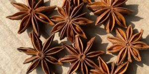 Autumn Star Aniseed