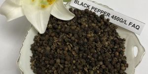 Black Pepper 450GL Faq