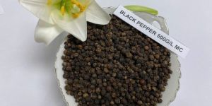 Black Pepper 500GL MC