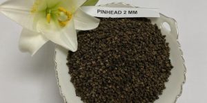 Black Pepper Pinhead 2MM, 2.5MM