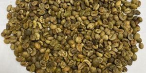 Robusta Coffee Bean S18 Unwashed