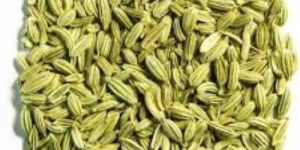 Fennel Seeds